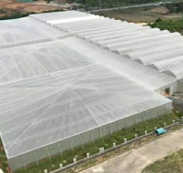 GLP-622连栋温室